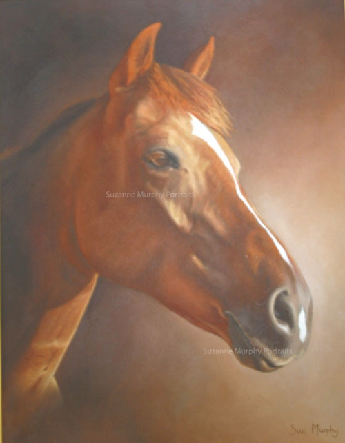 Horse Portrait