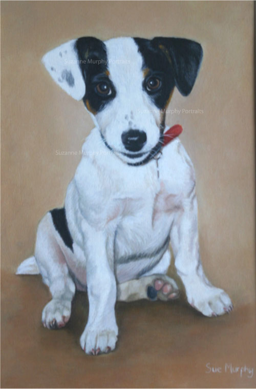 Dog Portrait