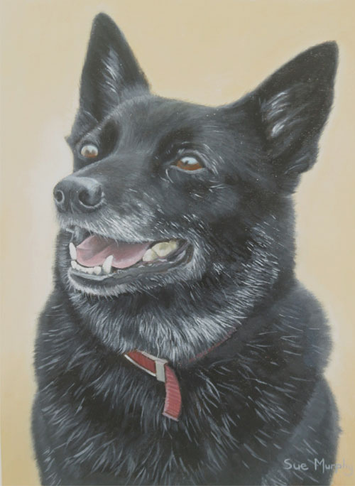 Dog Portrait