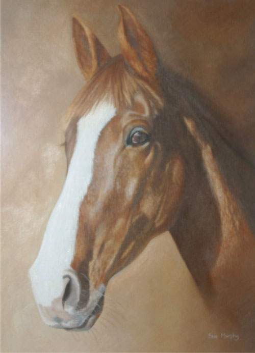 Horse Portrait