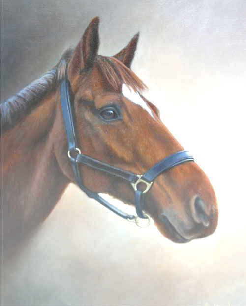 Horse Portrait