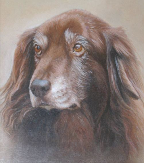 Dog Portrait